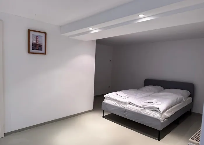 T&k - 8 Detached House - 6 Min To Messe Dus - Private Parking 度假居 *